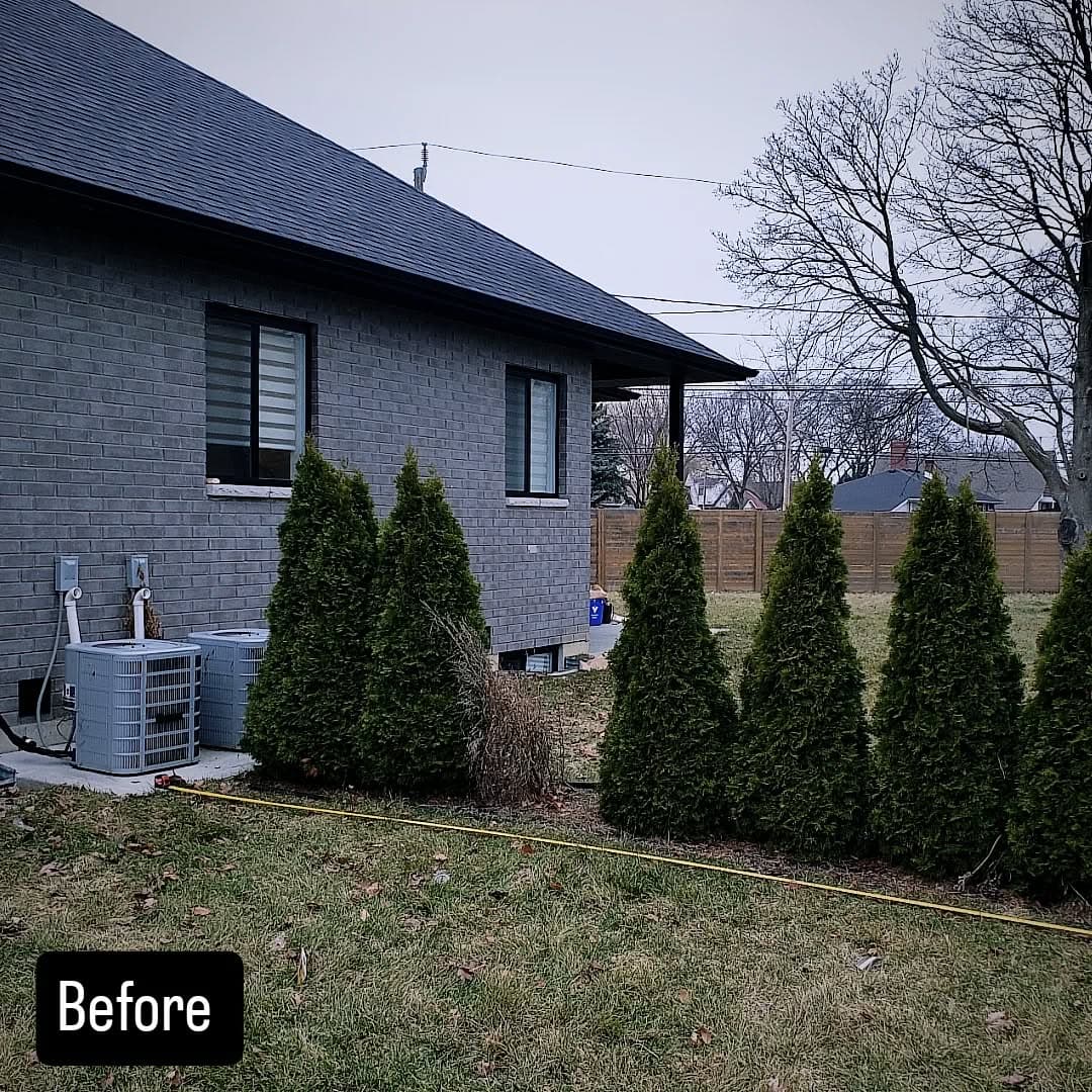 Open yard line before the privacy fence was installed